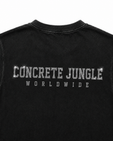 THE JUNGLE STONE