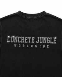 THE JUNGLE STONE